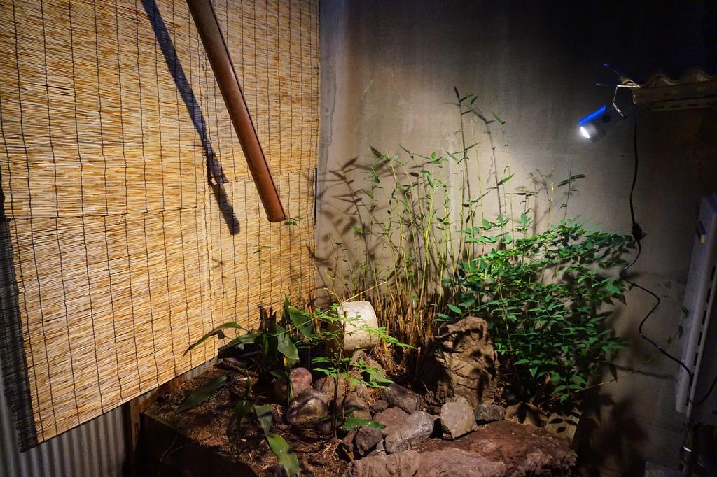 Kyoto House公寓 外观 照片